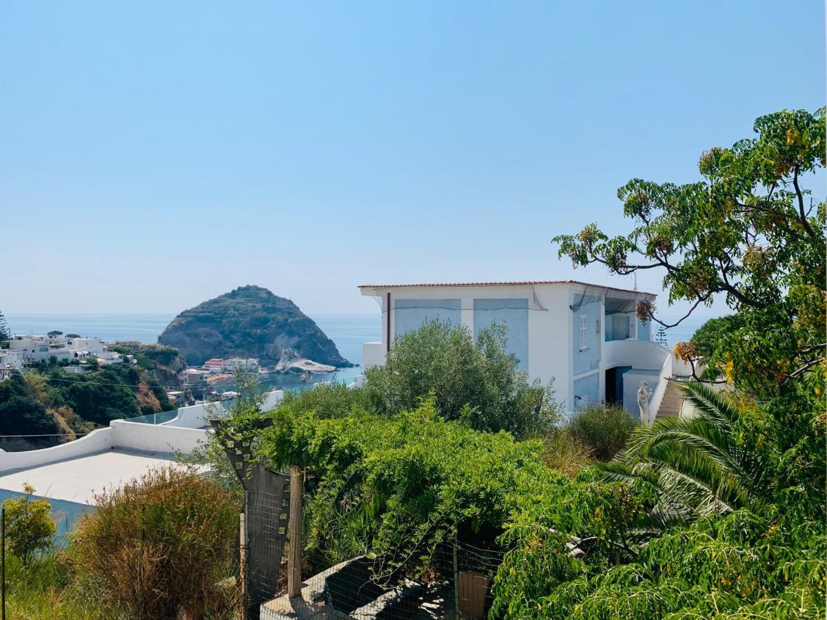 Pensione Casa Verde Sant'Angelo  Ngoại thất bức ảnh